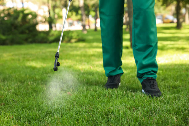 Best Commercial Pest Control Services  in Quinlan, TX